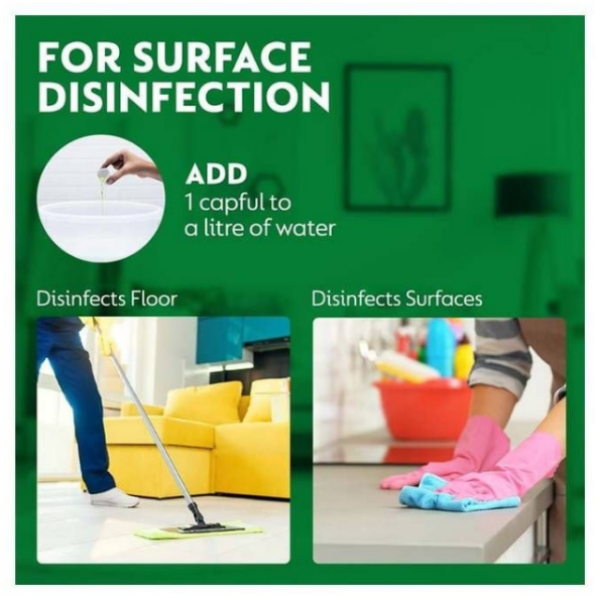 Dettol Surface Disinfection & Personal Hygiene Antiseptic Liquid - Image 3