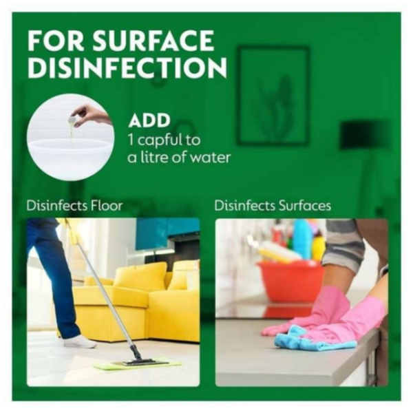 Dettol Surface Disinfection & Personal Hygiene Antiseptic Liquid - Image 4